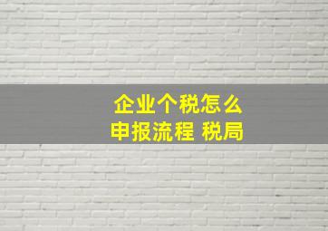 企业个税怎么申报流程 税局